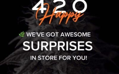 Happy #420!  We’ve got some awesome surprises  in store for you, but they won’t last long. ????‍♀️???? Check out our website for all the details! Link in bio.  #SEEDyourhead #seedblog #bestdispensaryinboston #boston #portlandmaine #cannabis #marijuana #highlife #stoner #420community #weedstagram #ganja #hightimes #420friendly