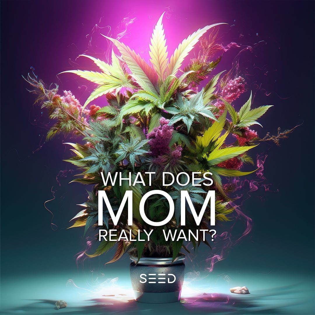 What does Mom REALLY want?  Some giggles and a good night’s sleep.