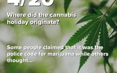 Do you ever wonder where the term 4/20 came from?