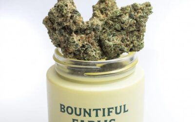 12 Days of Christmas – Bountiful Farms Pop-up @ Seed