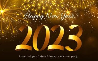 Happy New Year from Seed!