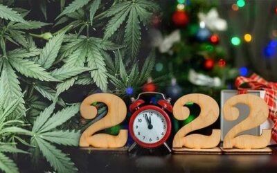 Christmas Eve – Early Closure at 4pm