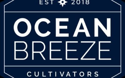 12 Days of Christmas – Ocean Breeze Pop-up @ Seed