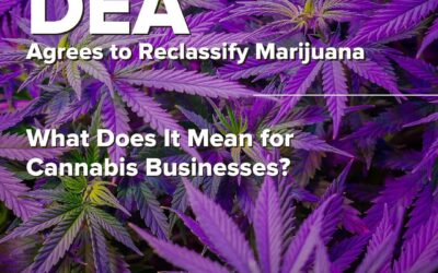 DEA Agrees to Reclassify Cannabis. What does that mean for Tax & Financial Implications and Regulatory Changes?