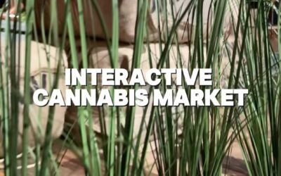 The Ganja Galleria – our first ever interactive cannabis market. Stop in and check out interactive displays from your favorite vendors! #seedyourhead #seedboston #seedblog #jamaicaplain #partners