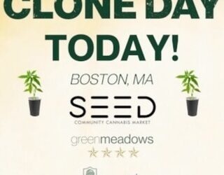TODAY IS CLONE DAY! Check in store for special clone program benefits! #seedyourhead #cloneday