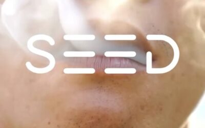 #seedyourhead