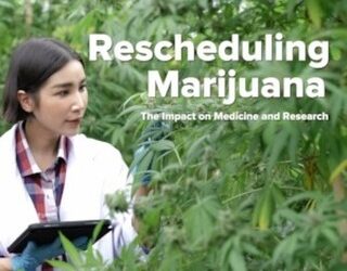 Rescheduling Marijuana – what does that really mean? #cannabis #seedyourhead #reschedulingcannabis