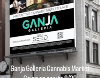 Stop by and explore the highs at Ganja Galleria – you can also check out your favorite brands  #seedyourhead #jamaicaplain