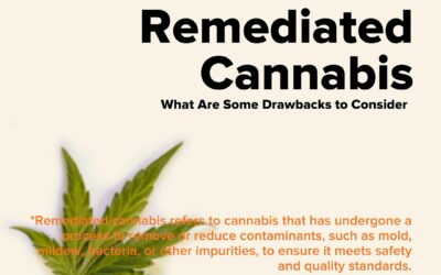 Ever wonder why cannabis is so much cheaper and some dispensaries but more expensive at others? Well you need to learn about remediated cannabis products… #seedyourhead #jamaicaplain #corecannabismuseum