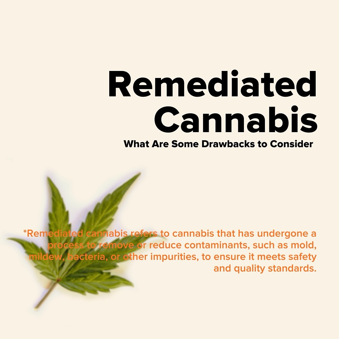 Ever wonder why cannabis is so much cheaper and some dispensaries but more expensive at others? Well you need to learn about remediated cannabis products…