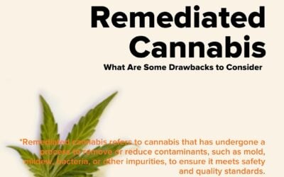 Ever wonder why cannabis is so much cheaper and some dispensaries but more expensive at others? Well you need to learn about remediated cannabis products… #seedyourhead #jamaicaplain #corecannabismuseum @corecannabismuseum