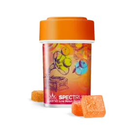 Citrus Sorbet Live Rosin Gummies | 20ct | Wana