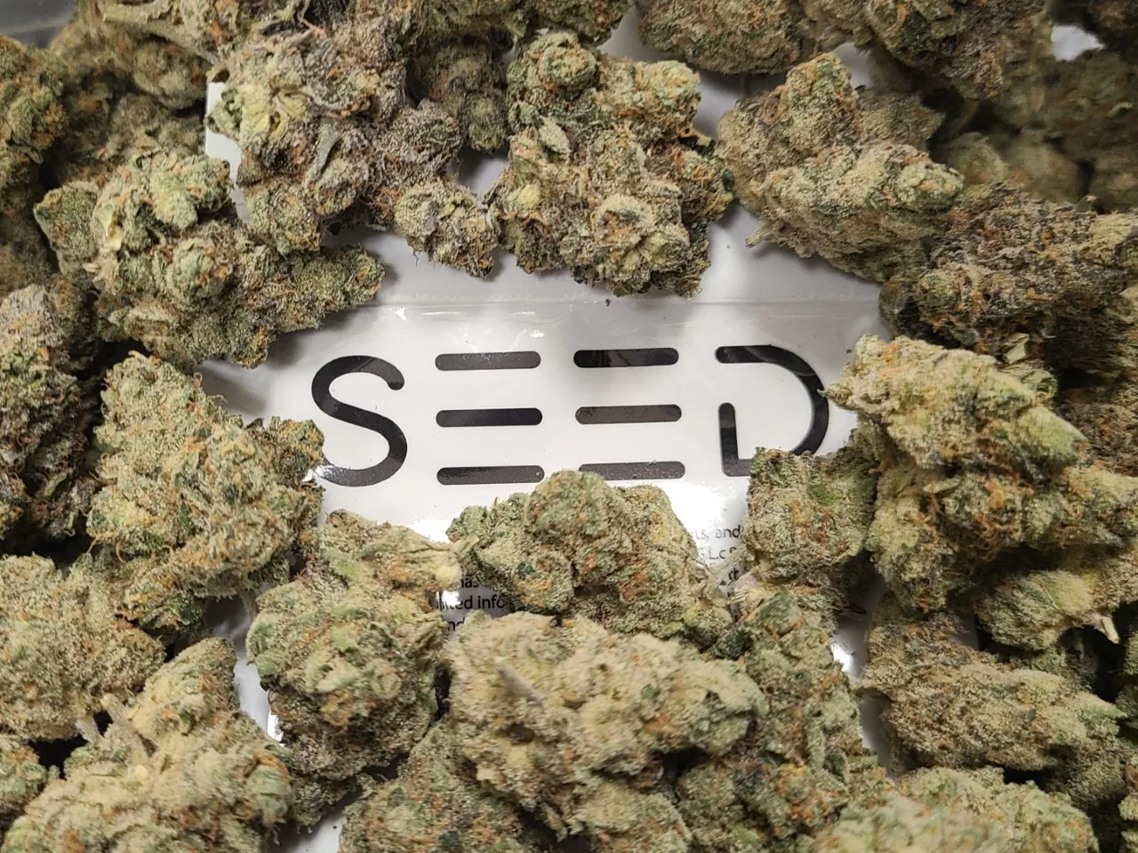 MAC & Cheese Flower | 3.5g | SEED