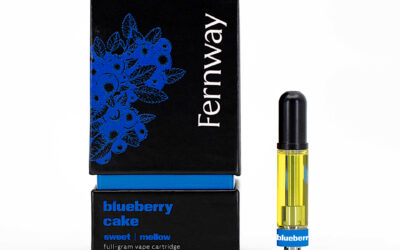 Blueberry Cake Cartridge | 1g | Fernway