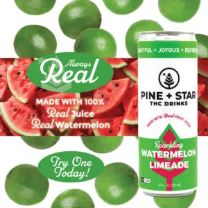 Sparkling Watermelon Limeade | 5mg | Pine + Star