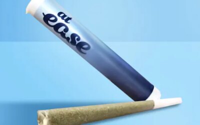 Lava Cake Pre-Roll | 1g | At Ease