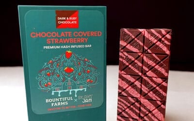 Chocolate-Covered Strawberry Bar | 100mg | Bountiful Farms
