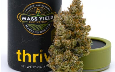 Jelly Rancher Flower | 3.5g | Mass Yield