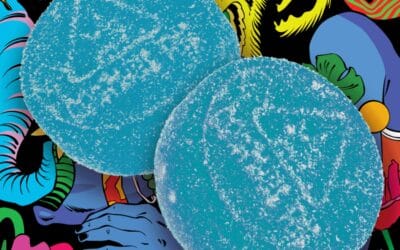 Blazing Blue Raspberry Gummies | 20ct | Sapura