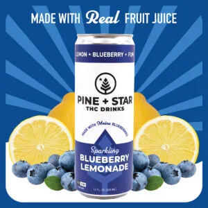 Sparkling Blueberry Lemonade | 5mg | Pine + Star