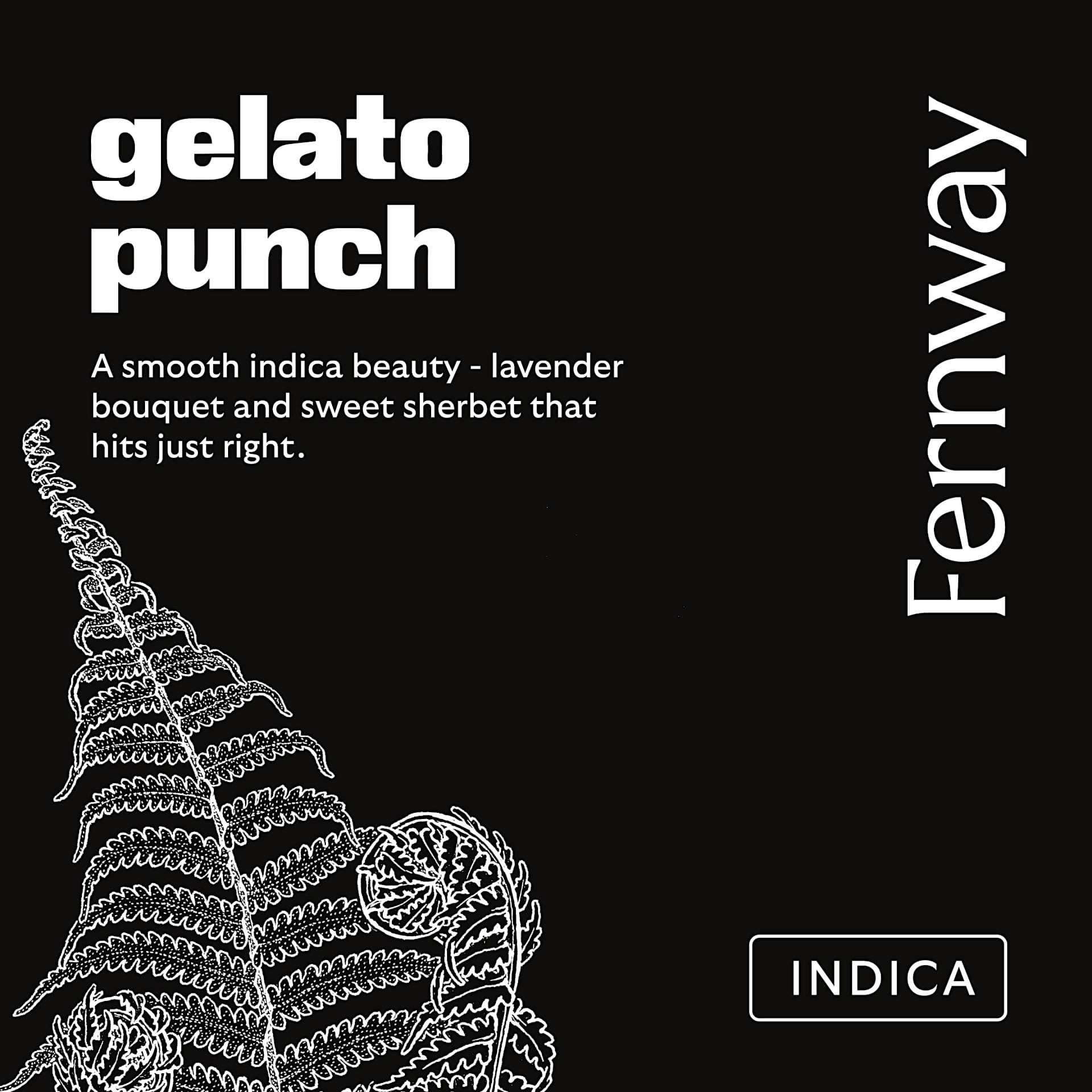 Gelato Punch Dime Bag | 1g | Fernway | Seed, Boston MA