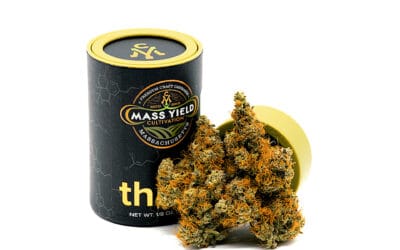 Peach Milano Flower | 3.5g | Mass Yield