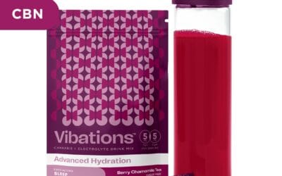 Berry Chamomile Tea Drink Mix | 10pk | Vibations