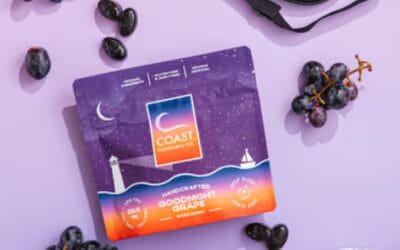 5:1 Goodnight Grape Gummies | 20ct | Coast Cannabis Co.