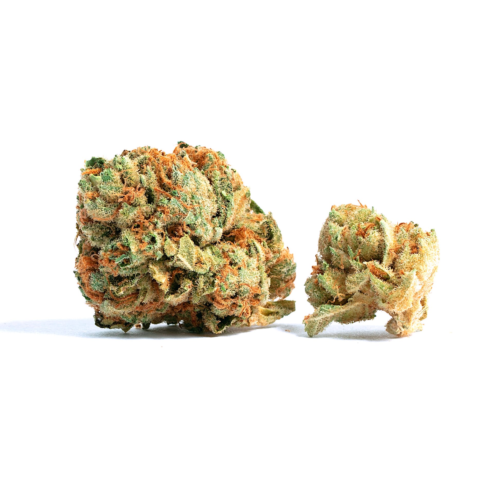 Cherry Garcia Flower | 3.5g | No.9 Collection | Seed, Boston MA