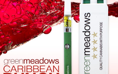 Caribbean Punch Cartridge | .5g | Green Meadows