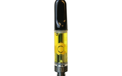 Blue Raz Distillate Cartridge | 1g | The Clear