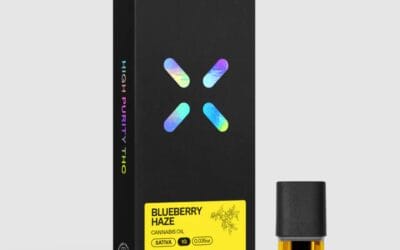 Blueberry Haze Pod | 1g | PAX