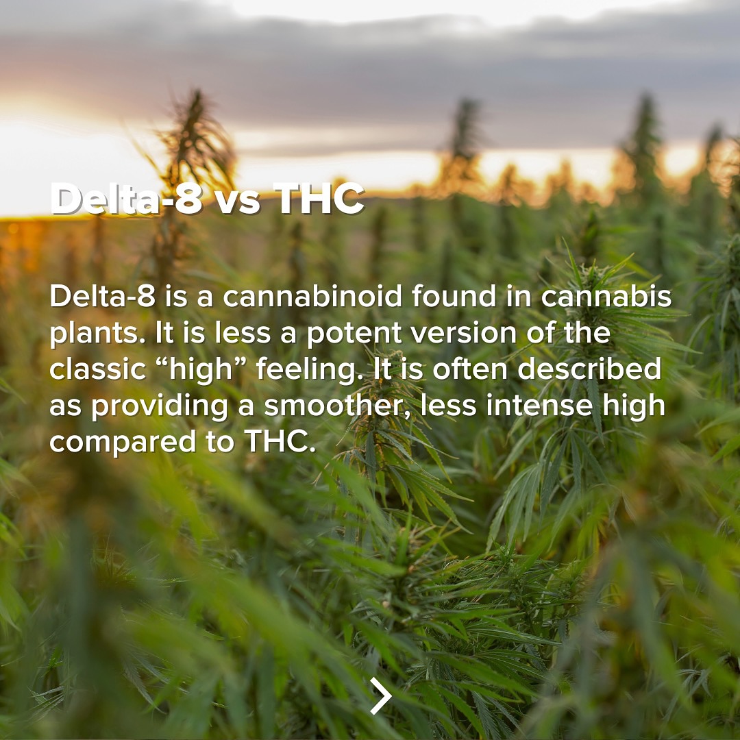 Delta-8 THC - What is it and how is it different than THC?