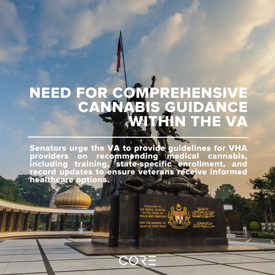 Senators urge VA to expand access to medical cannabis for America’s veterans.