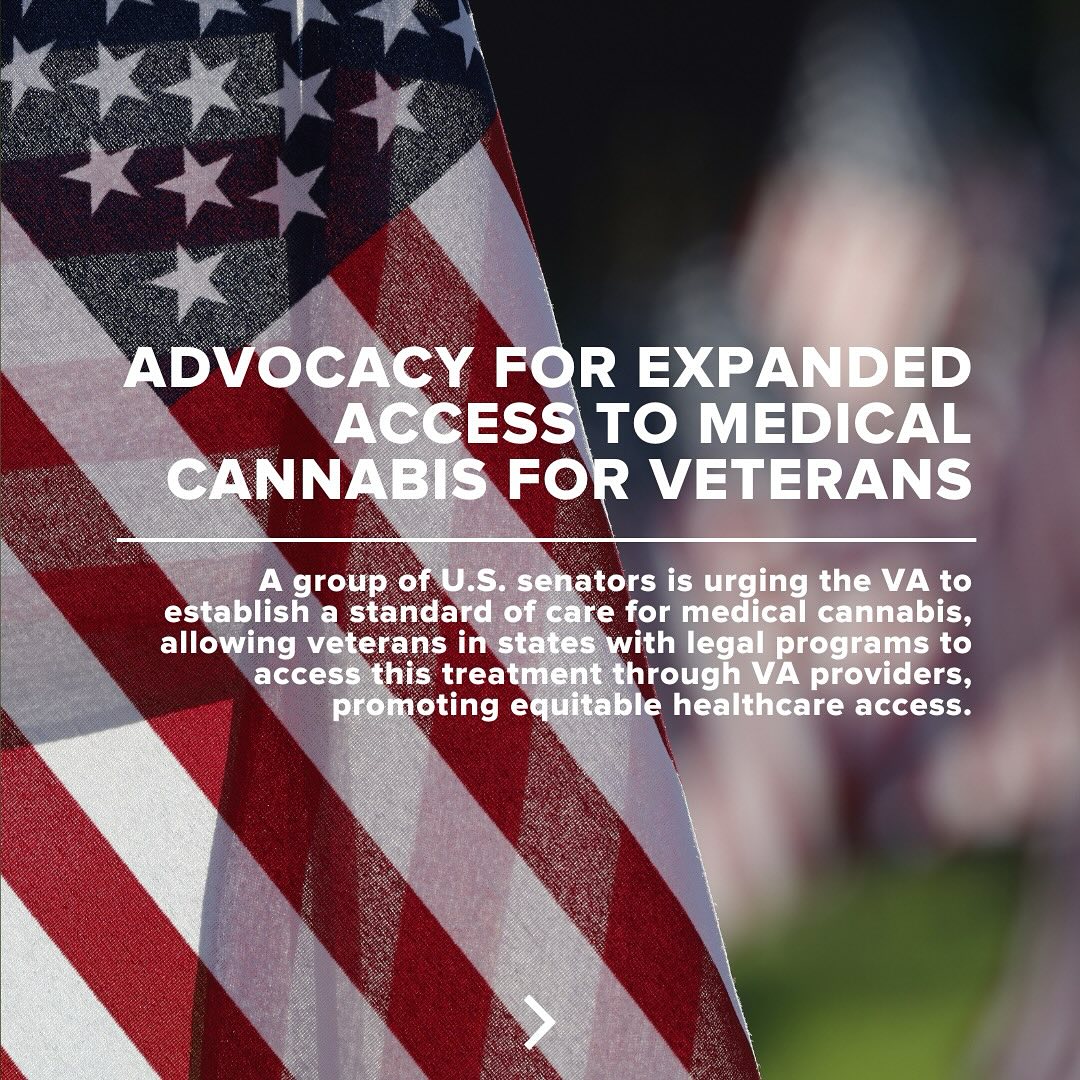 Senators urge VA to expand access to medical cannabis for America’s veterans.