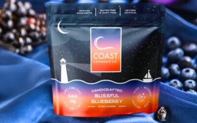 1:1:1 Blissful Blueberry Gummies | 20ct | Coast Cannabis Co.