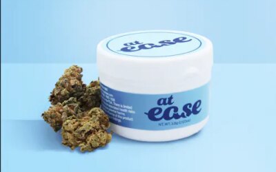 Gasonade Flower | 3.5g | At Ease