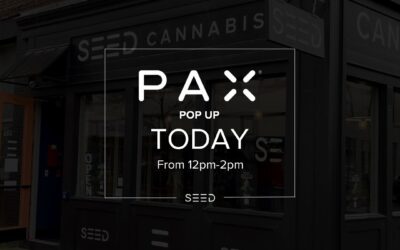 Pax Pop Up Today From 12-2pm #seed #seedyourhead #jamaicaplain