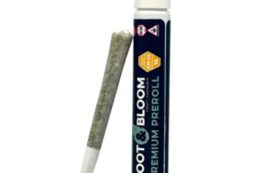 Ghost Dawg Pre-Roll | 1g | Root & Bloom
