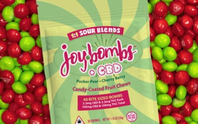 1:1 Sour Fruit Chews | 40pk | Joy Bombs