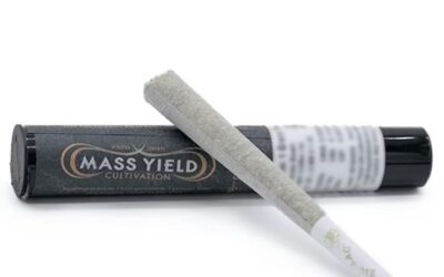 Coco Loco Pre Roll | 1g | Mass Yield