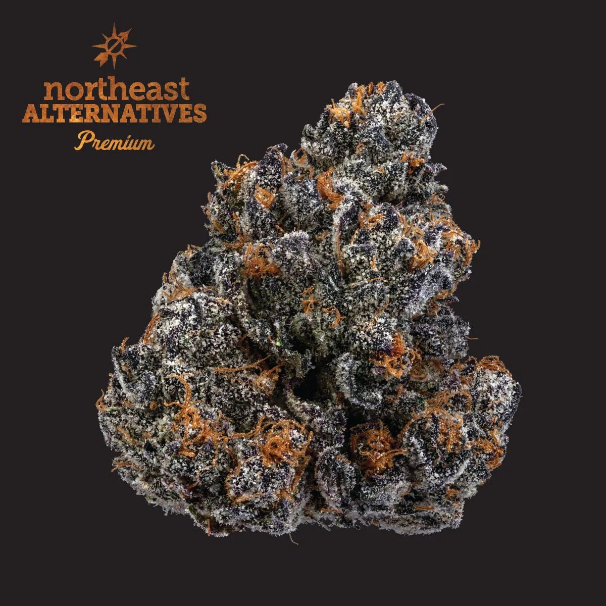 Sherb Cream Pie Flower | 3.5g | NEA Premium