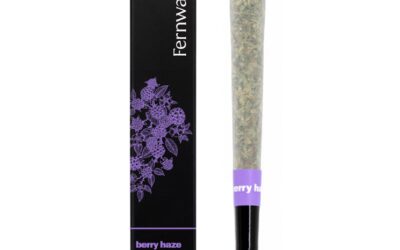 Berry Haze Pre-Roll | 1g | Fernway