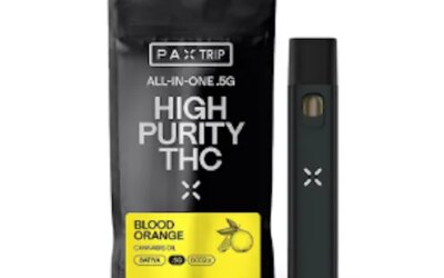 Blueberry Haze Vape Pen | 1g | PAX