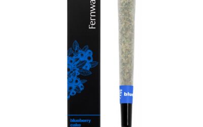 Blueberry Cake Pre-Roll | 1g | Fernway