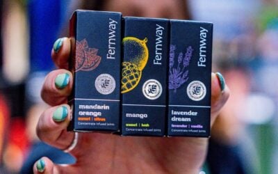 Fernway Diamond Joints – the pot of gold at the end of your rainbow!  @fernway.ma infused prerolls are packed with award-winning terpenes, pure THC diamonds, and a kief finish—because St. Paddy’s deserves a premium smoke. ☘️ Perfect for:  Front row at the festival 🌭 Late-night food truck cravings  Toasting to good times with new friends Who’s sparking up for St. Patrick’s Day?  #Fernway #DiamondJoints #StayLit #stpatricksday #seedyourhead #seedboston