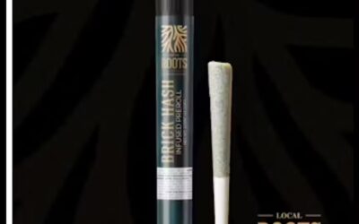GG4 Flower x Ice Cream Cake Brick Hash Infused Pre-Roll | 1g | Local Roots