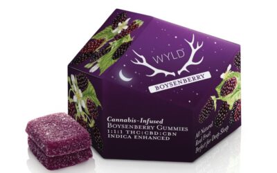 1:1:1 Boysenbery Gummies | 10ct | Wyld