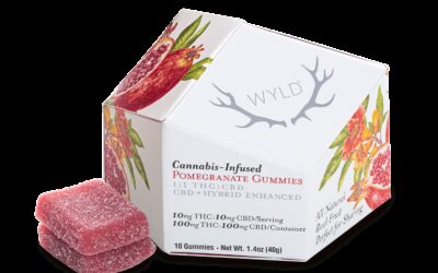 1:1 Pomegranate Gummies | 10ct | Wyld